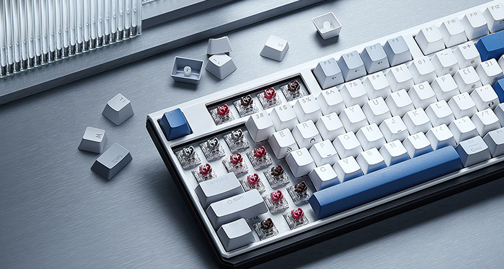 Keycaps&Switches.jpg
